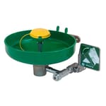 View Model 7260B-7270B: AXION® MSR Wall Mount Eye/Face Wash 